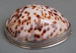 Georgian silver mounted Scottish cowrie shell snuff box with engraved hinged lid, length 66mm