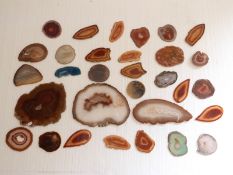 Thirty-one polished agate slices/ samples.