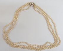 A three strand cultured pearl necklace with a 9ct gold clasp