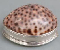 18th century silver mounted cowrie shell snuff box with engraved armorial (possibly for the Bell