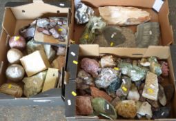 A large collection of mineral samples, some polished.