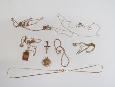 A group of 9ct gold jewellery to include bracelet, necklace, lion pendant, chain and crucifix, 8.