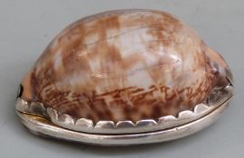 Georgian silver mounted cowrie shell spice box with hinged section opening to reveal gilt