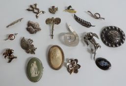 A quantity of silver brooches including Wedgwood, marcasite etc