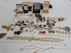 A collection of costume jewellery, brooches, cameos, beads etc