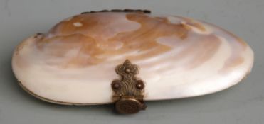 19thC / early 20th century shell purse, length 9cm