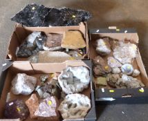 A large collection of mineral samples and geodes.