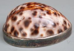 18th century old Sheffield plate mounted cowrie shell snuff box, with engraved decoration and part