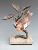 Albany Fine China, Worcester bronze and porcelain figure of a Hawfinch raised on a marble base, H