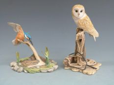 Border Fine Arts Barn Owl and signed Ayres kingfisher, in boxes