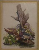 Robert Davison watercolour pair of ducks perched on the stump of a dead tree above water, signed