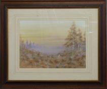 Stephen Francis Allen watercolour game bird in landscape, signed and dated 89 lower left, 33 x 46cm