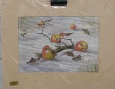 Christopher Hope watercolour of a robin feeding on apples in the snow, 25 x 35cm