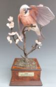 Albany Fine China, Worcester bronze and porcelain figure of a Jay raised on a marble base, H 37cm