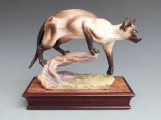 Albany fine China porcelain model of a Siamese cat on wooden plinth, H19cm
