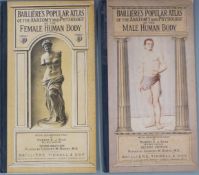The Anatomy & Physiology of the Male & the Female Human Body (Bailliere’s Popular Atlas)