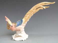 Karl Ens porcelain figure of a Golden Pheasant, H23cm