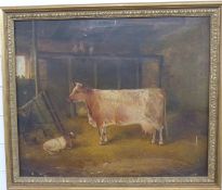 A 19thC oil on canvas Dairy Shorthorn cow and calf in barn, 49 x 59cm