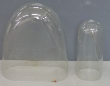 Two glass domes for taxidermy use, 39cm and 50cm tall