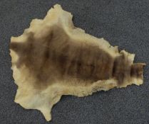 Seal pup skin rug, approximately 85X70cm