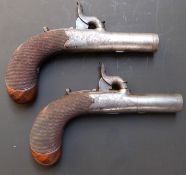 A pair of Forsyth & Co percussion hammer action pocket pistols with named and finely engraved locks,