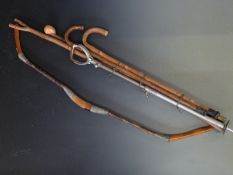 A collection of walking and shooting sticks