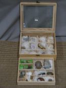 A cased collection of minerals and fossils including agate, tiger's eye etc in a small wooden two