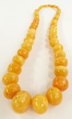 A Baltic amber necklace made up of 57 graduated beads, 101g