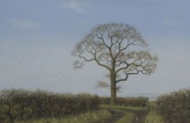 Simon Turvey (b1957) watercolour winter scene with oak tree, track, birds and pheasant, 19 x 21cm,