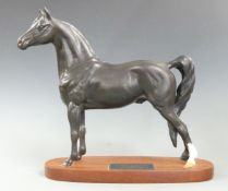 Beswick Morgan horse Tarryall Maestro, H29cm