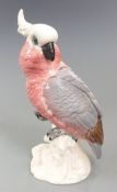 Beswick cockatoo No. 1180, H21cm