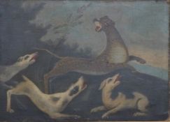 18th/19thC oil on canvas of dogs or hounds chasing a leopard or similar big cat, 70 x 98cm
