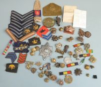 British Army cap badges and rank insignia including Devonshire Regiment, Border Regiment and