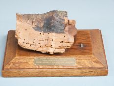 HMS Victory mounted section of keel and rivet, the rivet having broad arrow stamps, length of oak