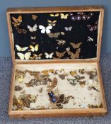 Taxidermy interest late 19th/20thC collection of butterflies in case with 'Caught in India' on lid