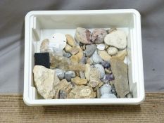Collection of fossil/mineral samples