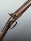 Unnamed 14 bore side by side percussion hammer action gun with engraved locks, hammers and trigger