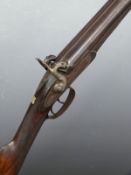 Unnamed 14 bore side by side percussion hammer action gun with engraved locks, dolphin hammers,