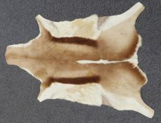 Antelope hide, L110 x W64cm