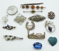 A collection of silver brooches including pressed amber, lion, enamel bird, paste, horseshoe brooch,