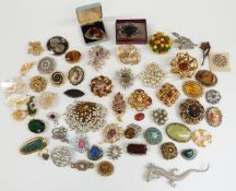 A collection of vintage brooches including sphinx, Exquisite brooch, Miracle etc