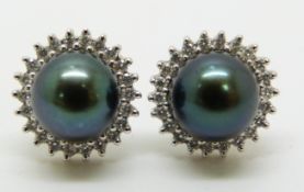 A pair of 14k white gold earrings set with a black pearl surrounded by diamonds, 3.9g