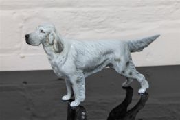 A Beswick china figurine : English Setter - Bayldone Baronet, model 973, grey, gloss, height 14 cm.