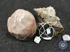 A Salt lamp and shell lamp