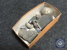 A box of fossils and polished stones