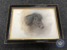 An early 20th century framed oil painting of a horse, 'Cardie', by A. G.