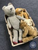 A box of mid 20th century teddy bears