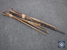 Two bundles of eight walking sticks