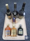 A tray of seven bottles of assorted cognac and brandy to include Martel, Napoleon,