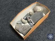 A box of fossils and polished stones